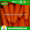 China New Crop Carrot Supplier